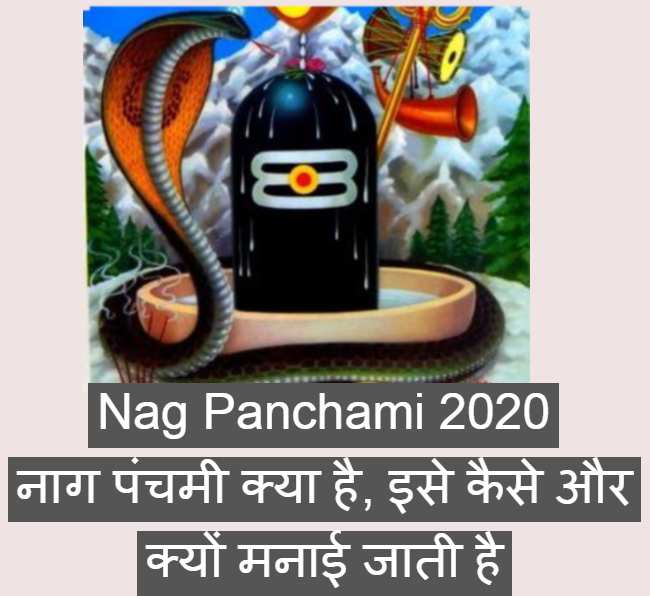 Nag Panchami 2020- नाग पंचमी क्या है, इसे कैसे और क्यों मनाई जाती है